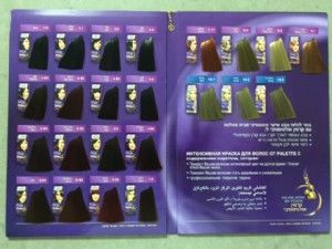 Palette_צבע לשיער מבית שוורצקוף